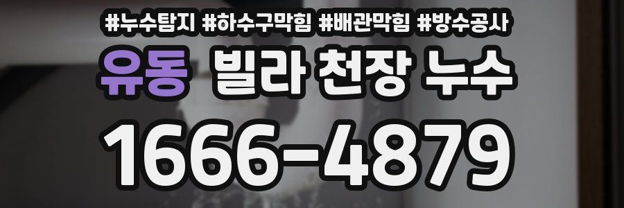 유동 빌라 천장 누수