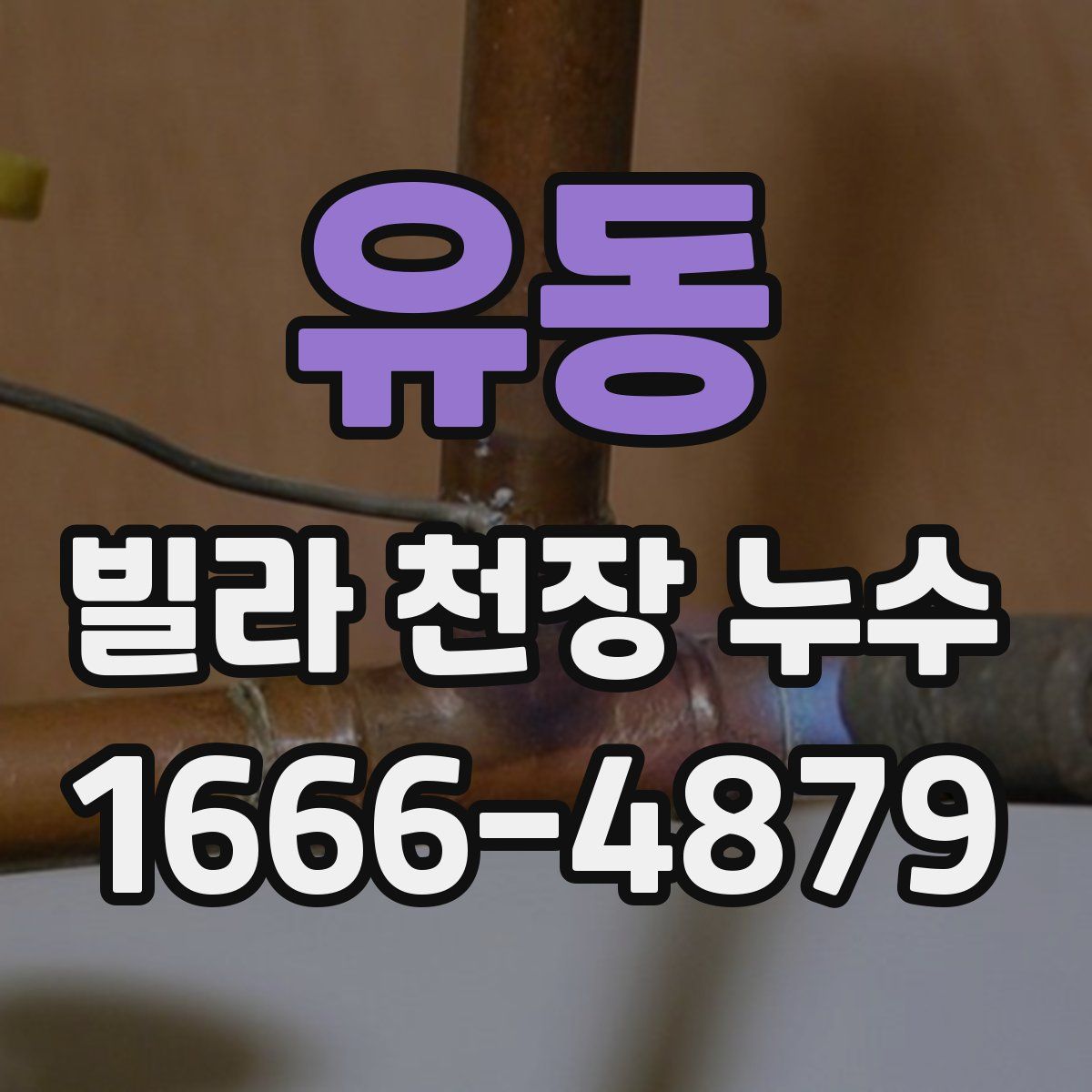 유동 빌라 천장 누수
