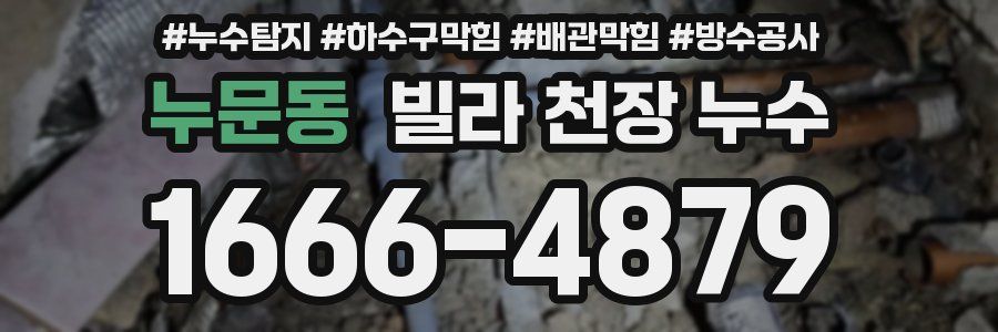 누문동 빌라 천장 누수