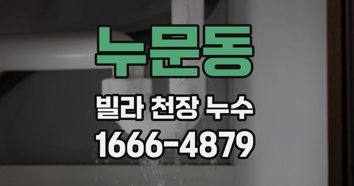 누문동 빌라 천장 누수