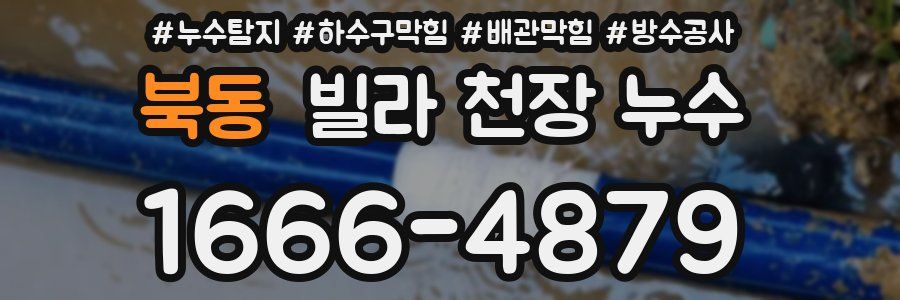 북동 빌라 천장 누수