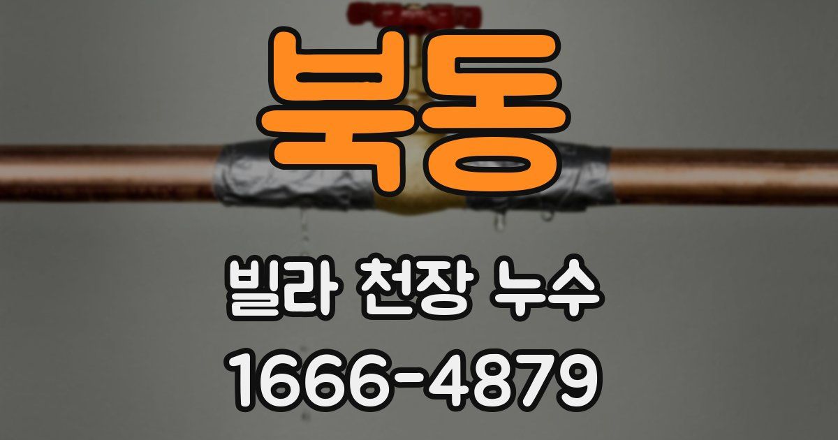 북동 빌라 천장 누수