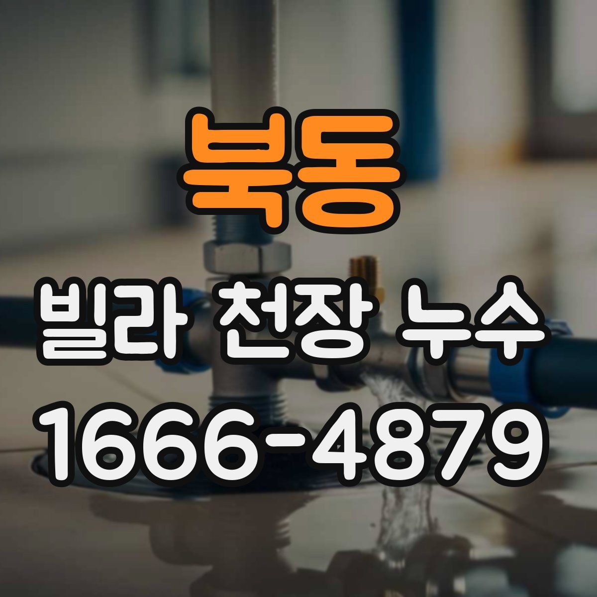 북동 빌라 천장 누수