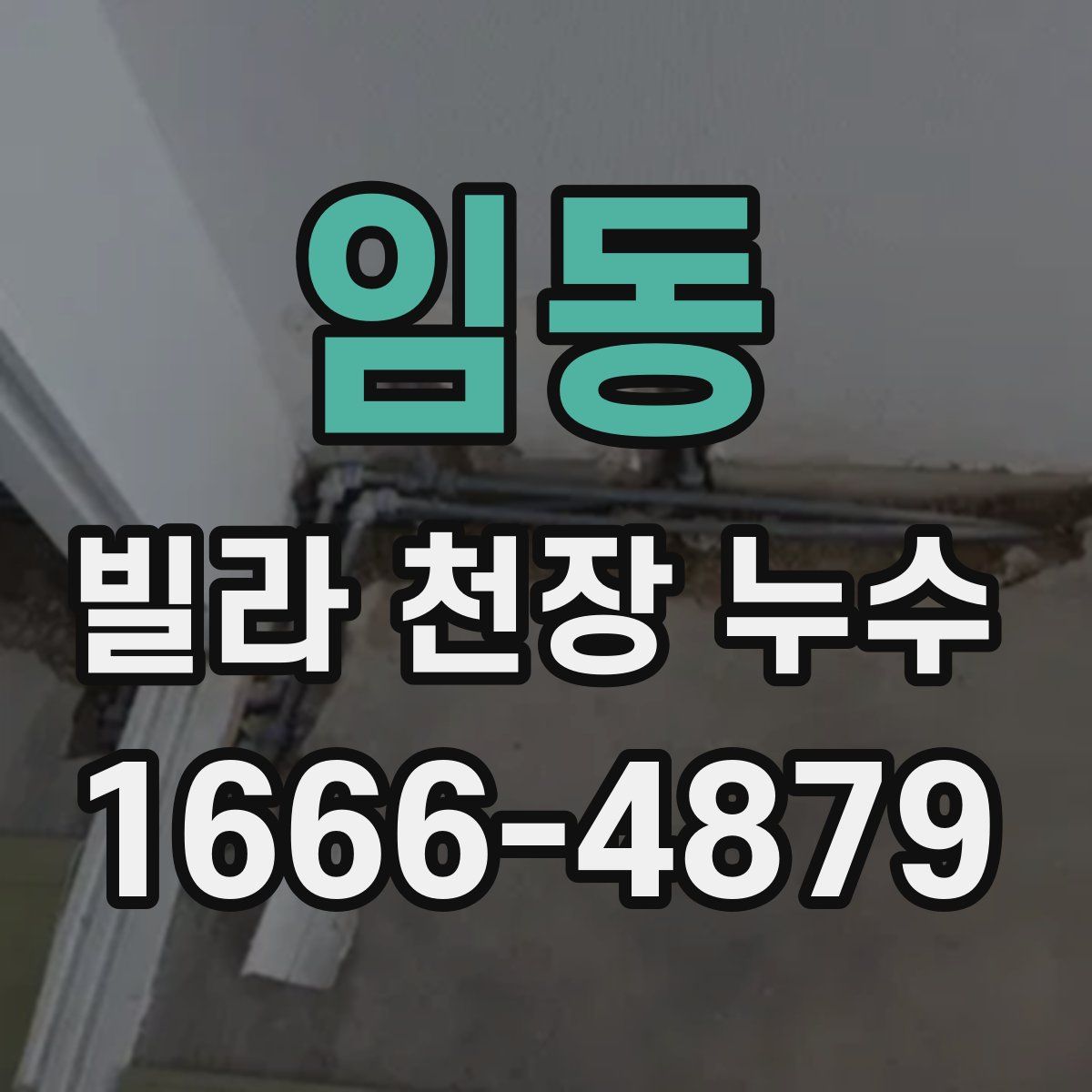 임동 빌라 천장 누수