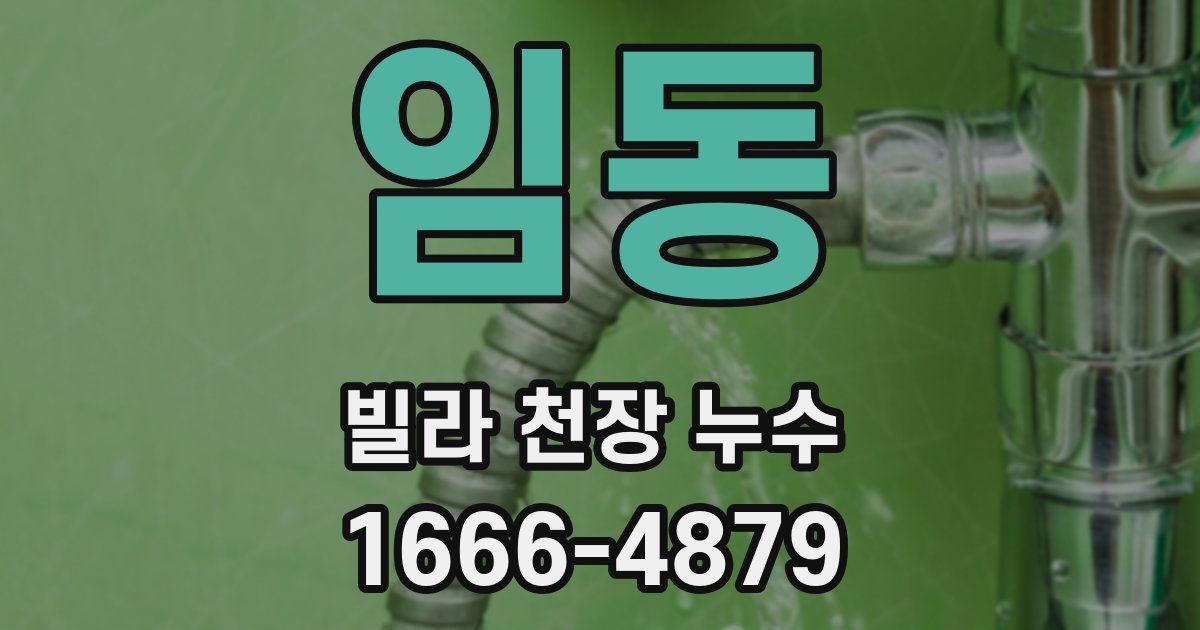 임동 빌라 천장 누수