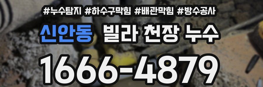 신안동 빌라 천장 누수