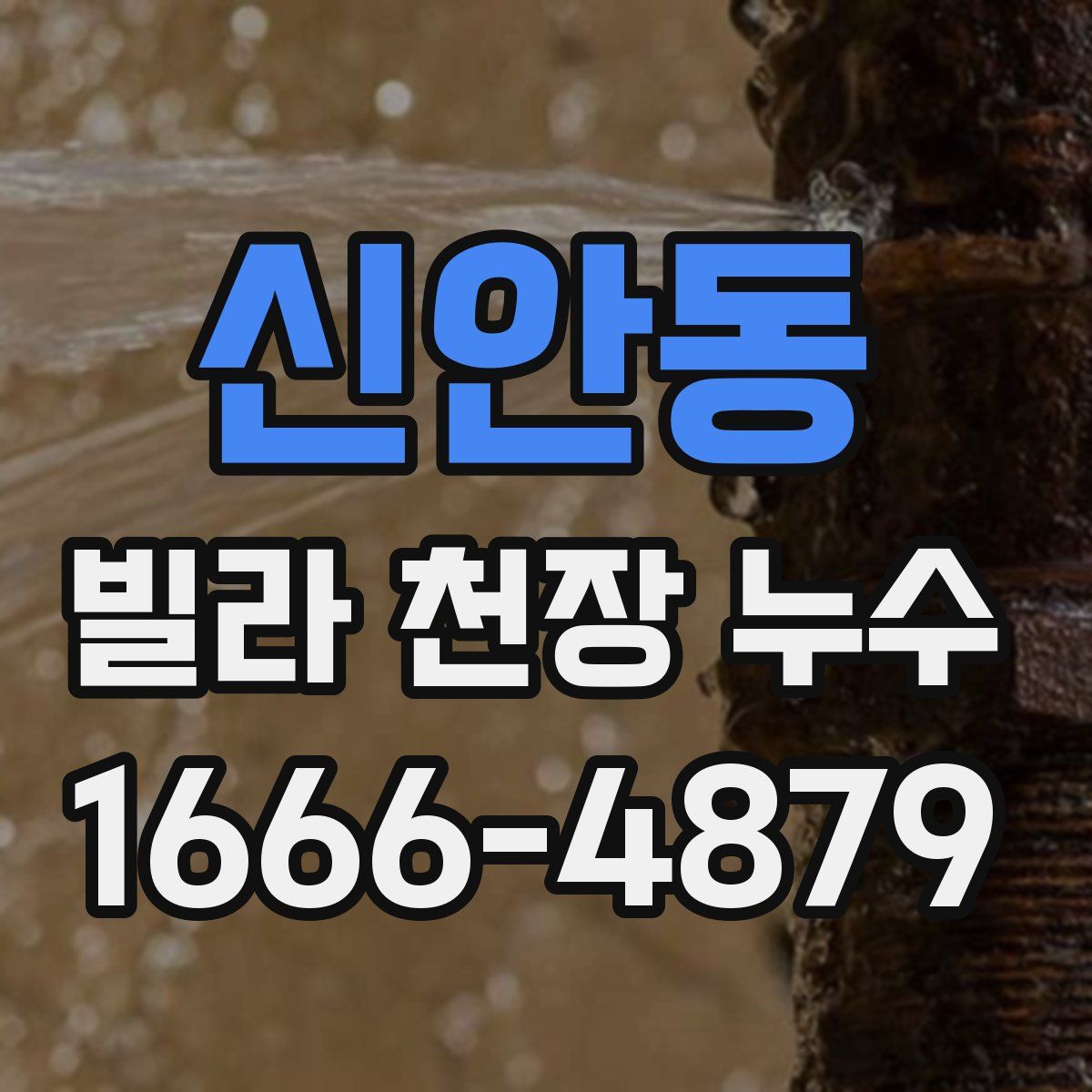신안동 빌라 천장 누수