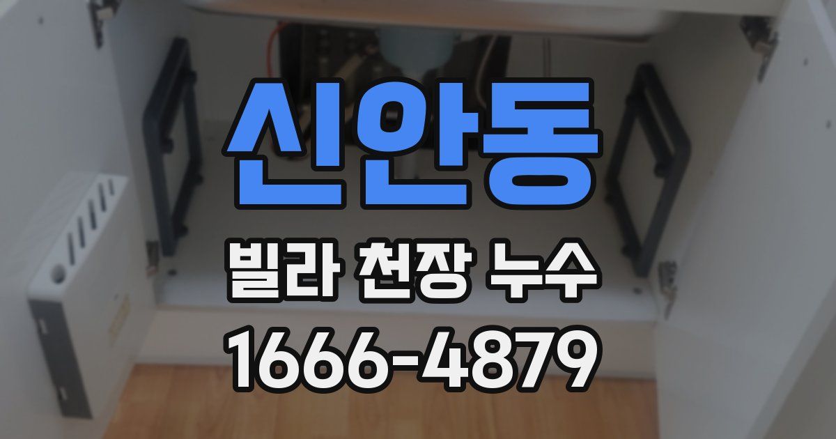 신안동 빌라 천장 누수