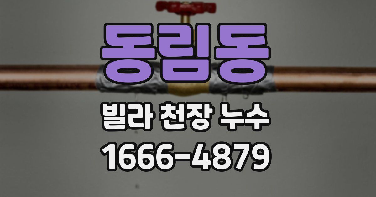 동림동 빌라 천장 누수