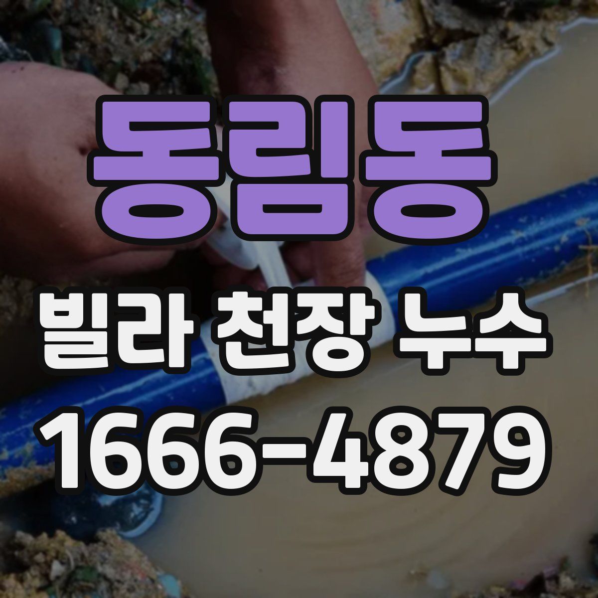 동림동 빌라 천장 누수