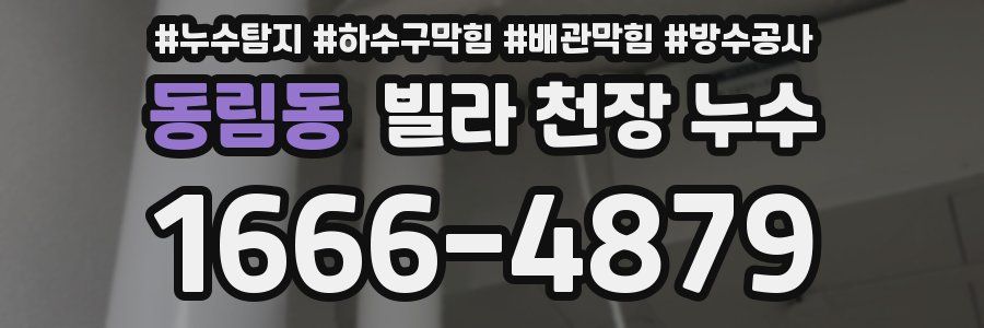 동림동 빌라 천장 누수