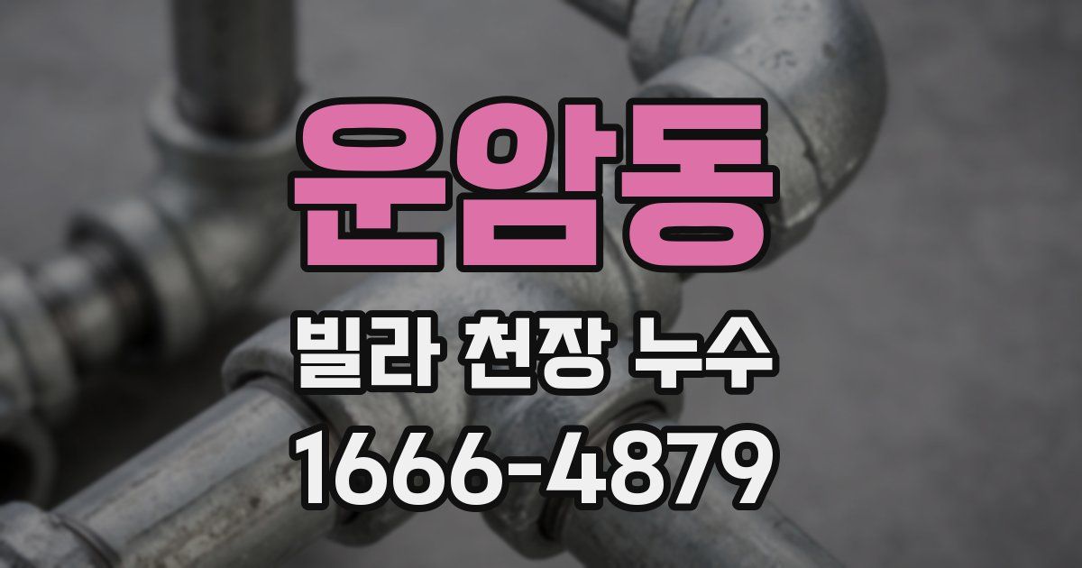 운암동 빌라 천장 누수
