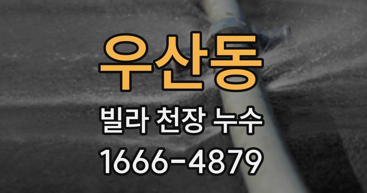 우산동 빌라 천장 누수