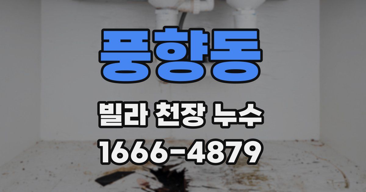 풍향동 빌라 천장 누수