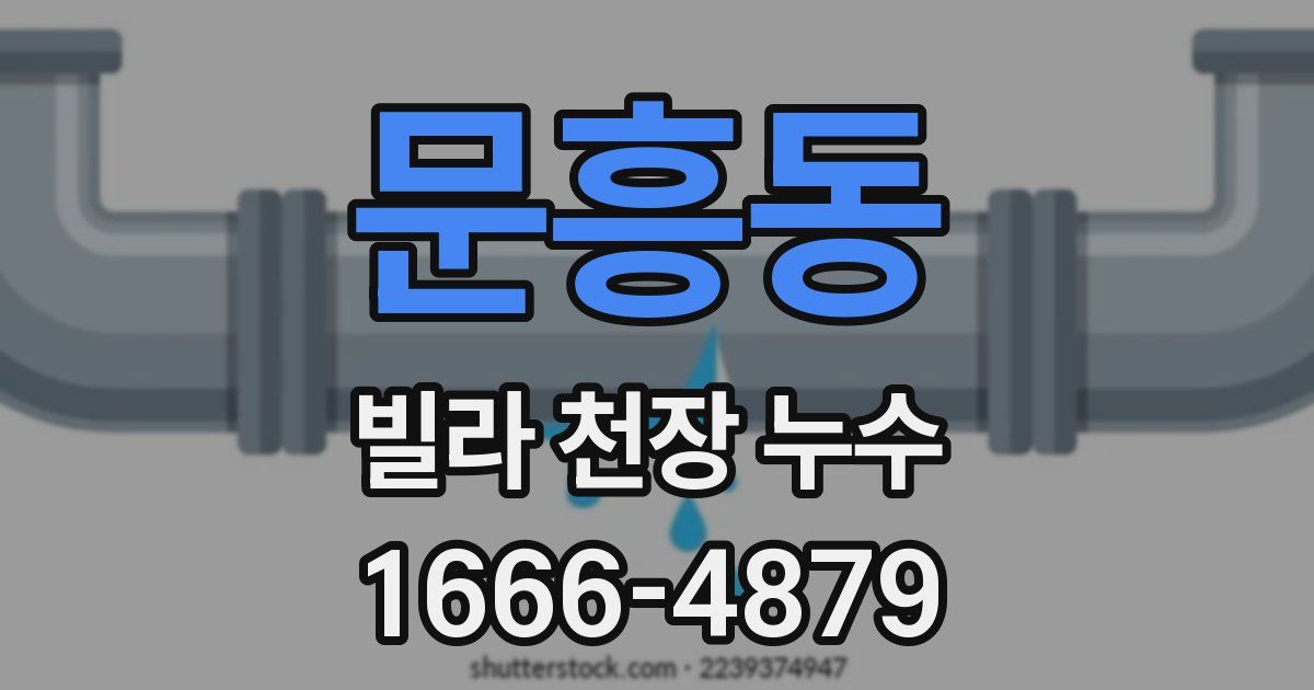 문흥동 빌라 천장 누수