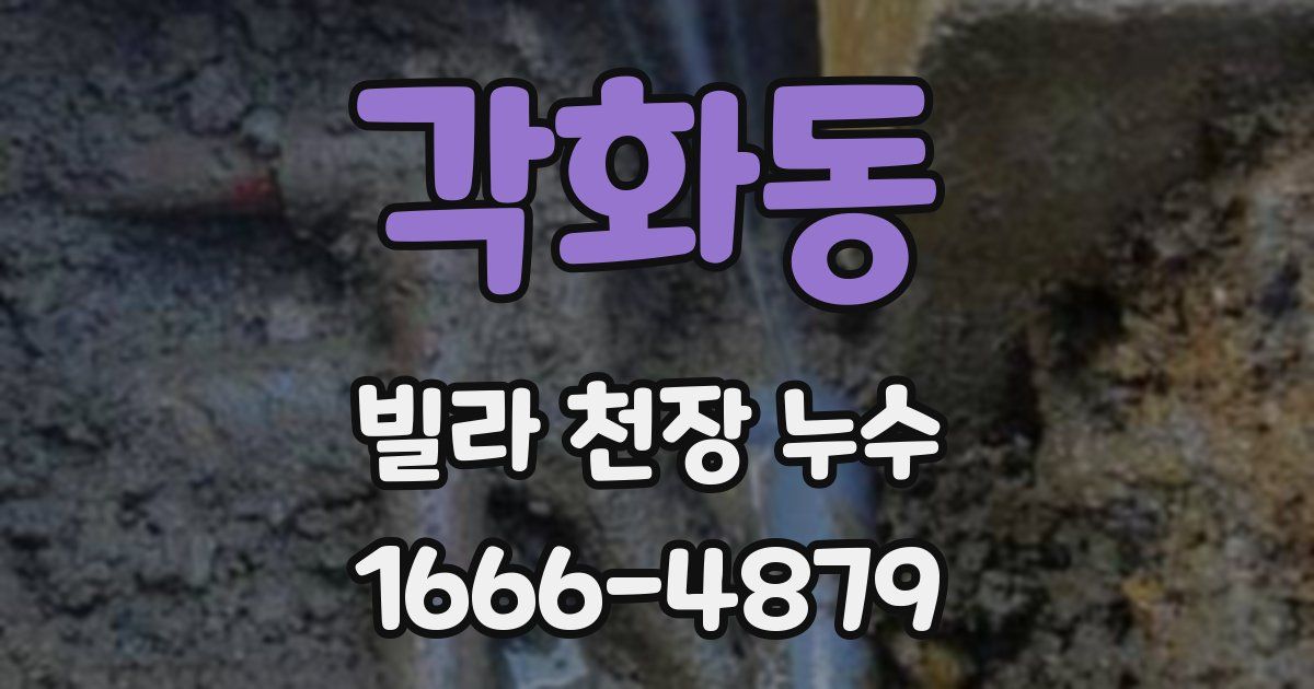 각화동 빌라 천장 누수