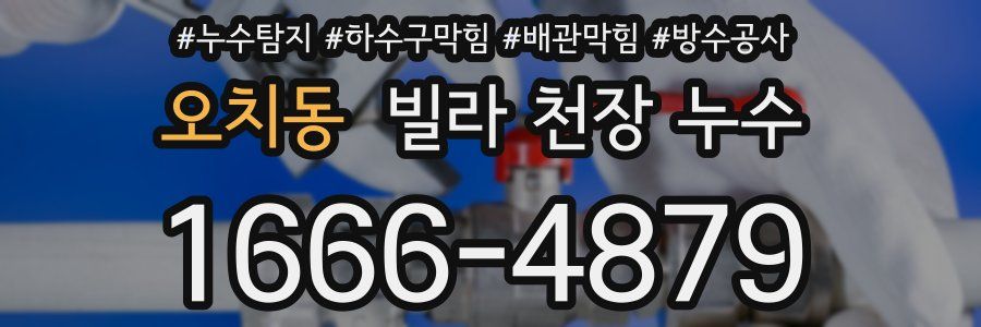 오치동 빌라 천장 누수