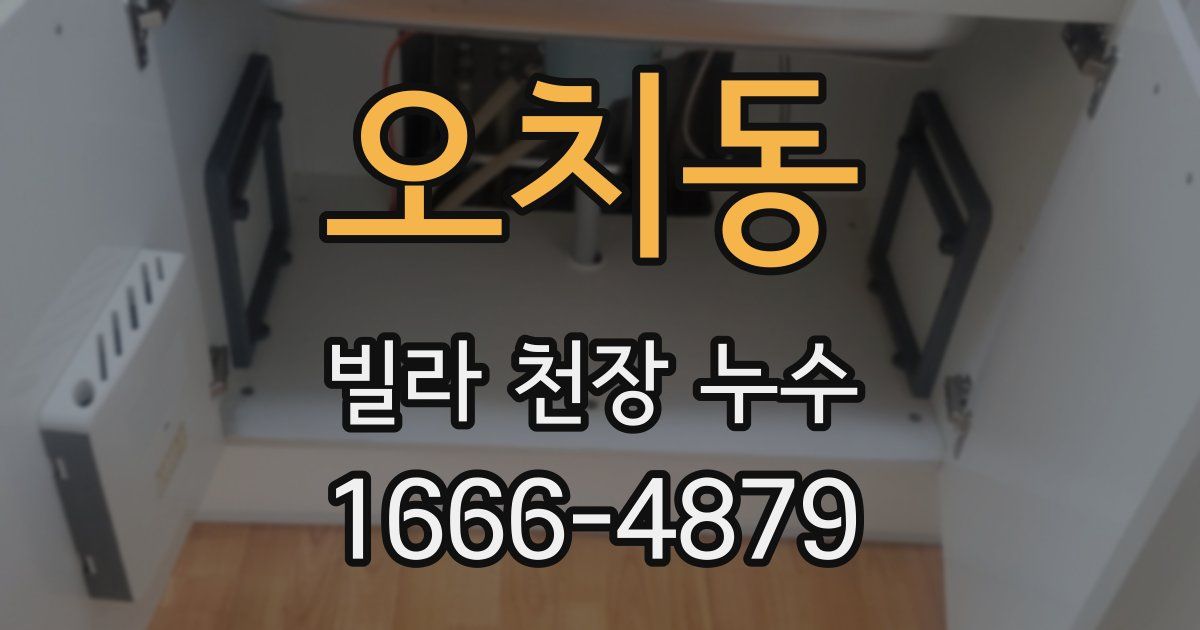 오치동 빌라 천장 누수