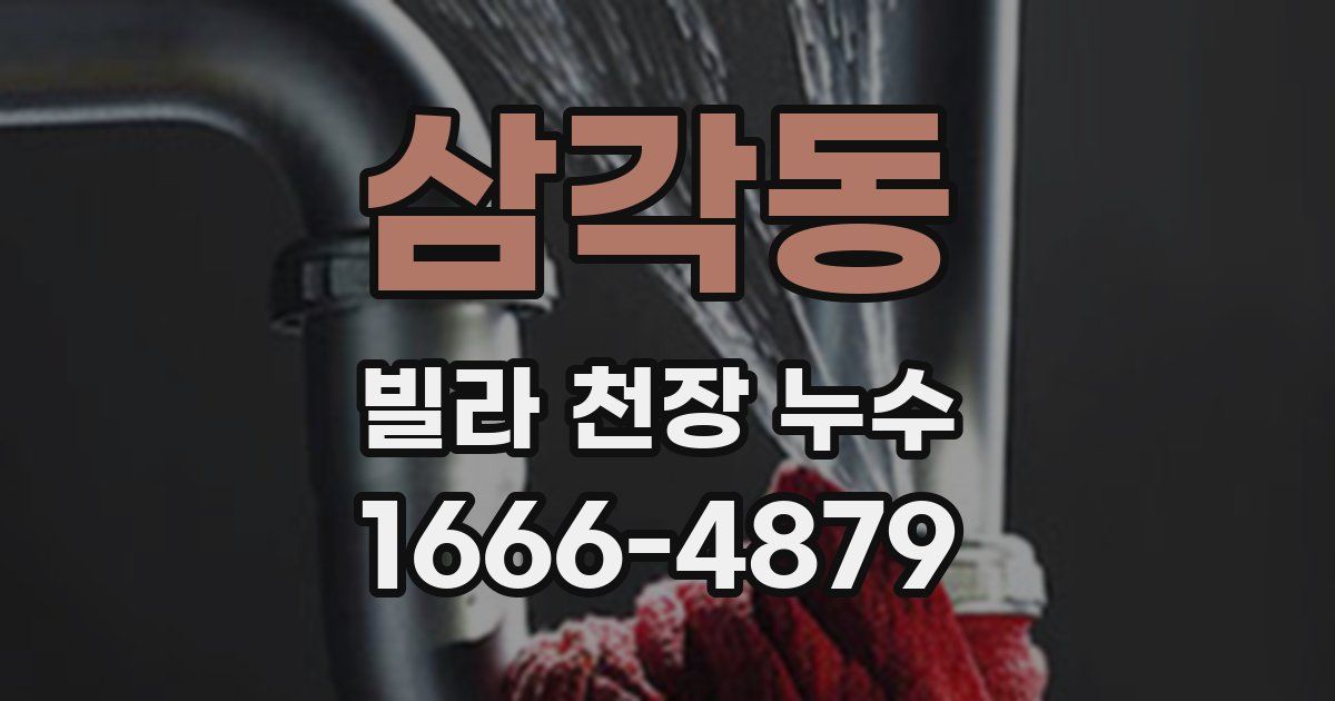 삼각동 빌라 천장 누수
