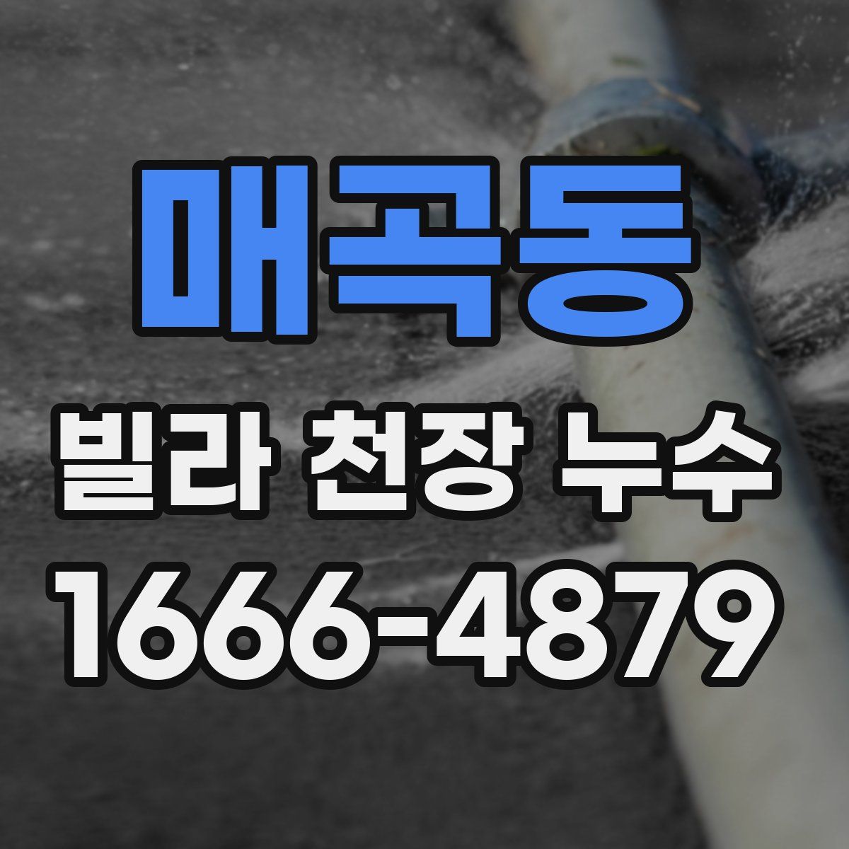 매곡동 빌라 천장 누수