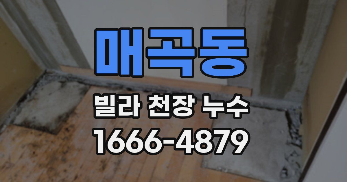 매곡동 빌라 천장 누수