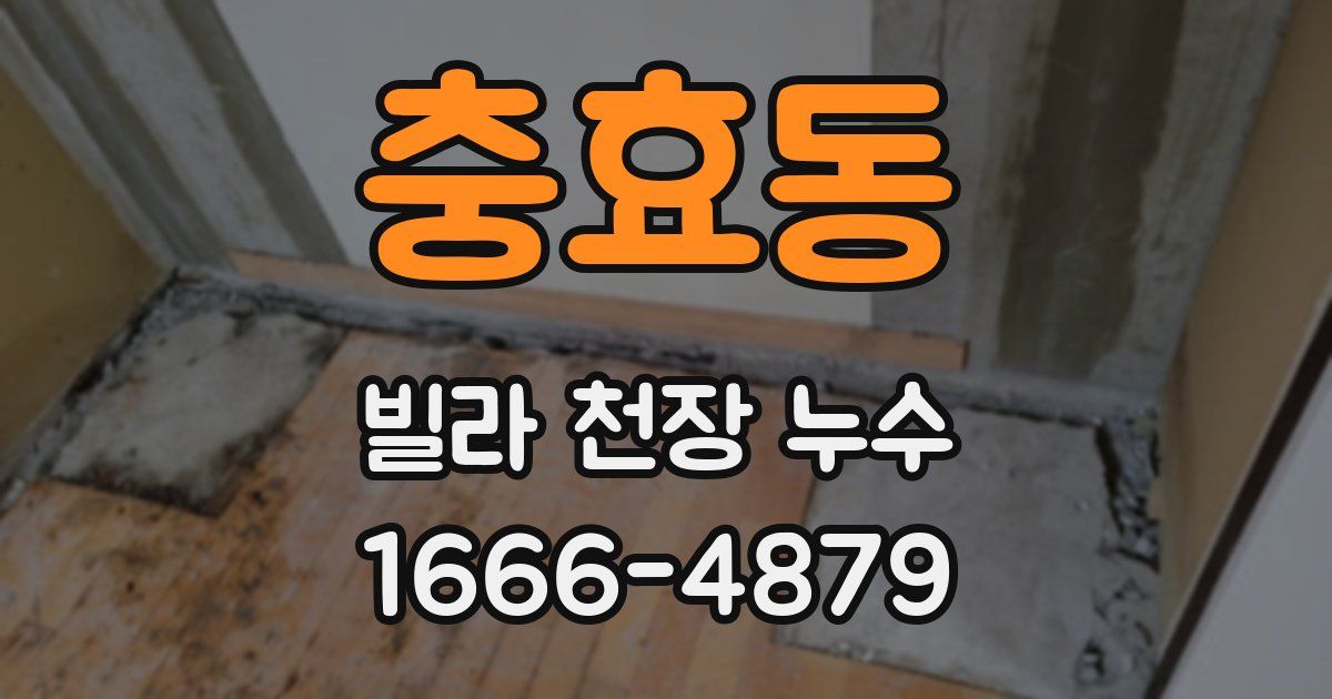 충효동 빌라 천장 누수