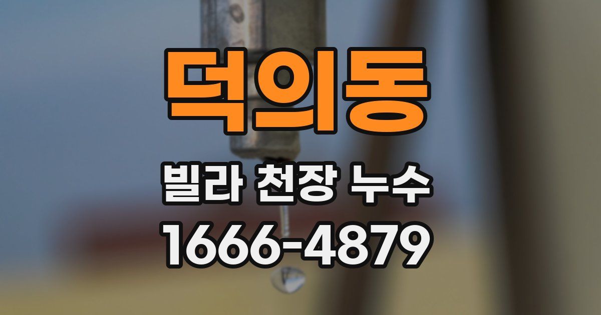 덕의동 빌라 천장 누수