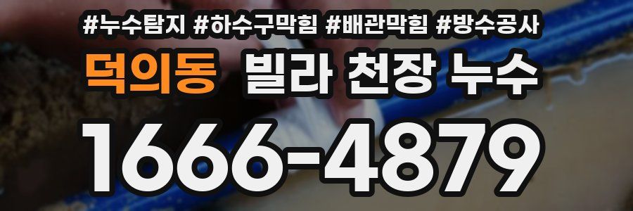 덕의동 빌라 천장 누수