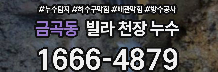 금곡동 빌라 천장 누수