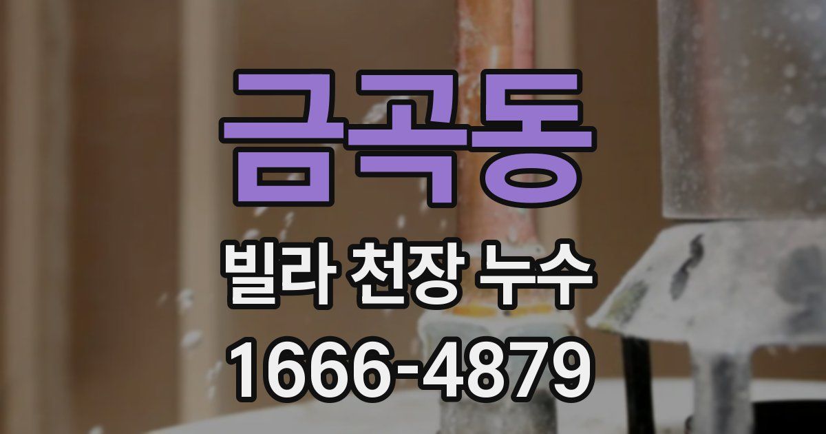 금곡동 빌라 천장 누수