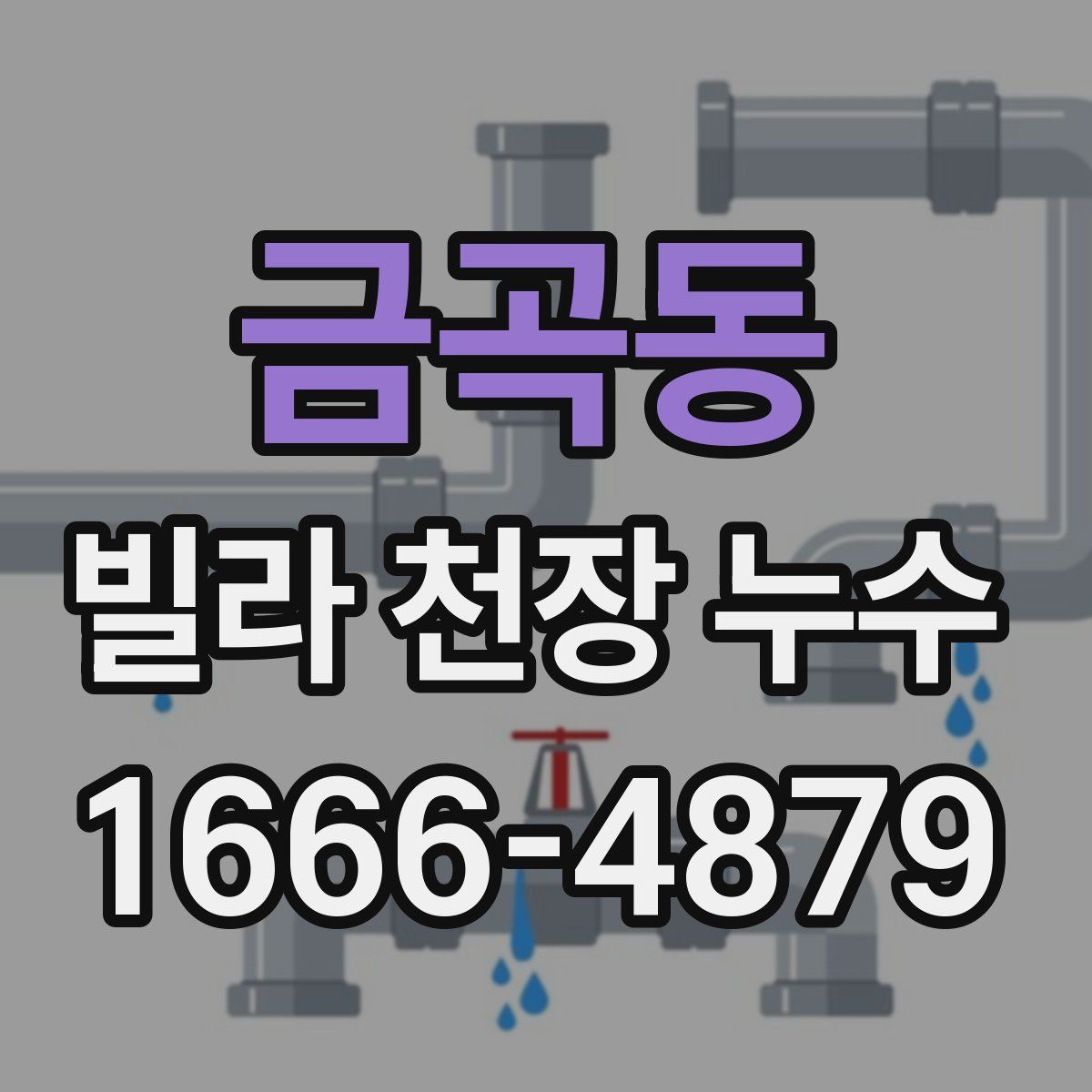 금곡동 빌라 천장 누수