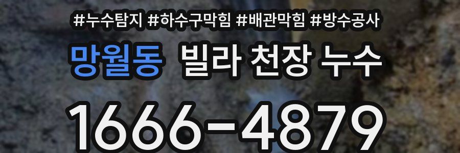 망월동 빌라 천장 누수