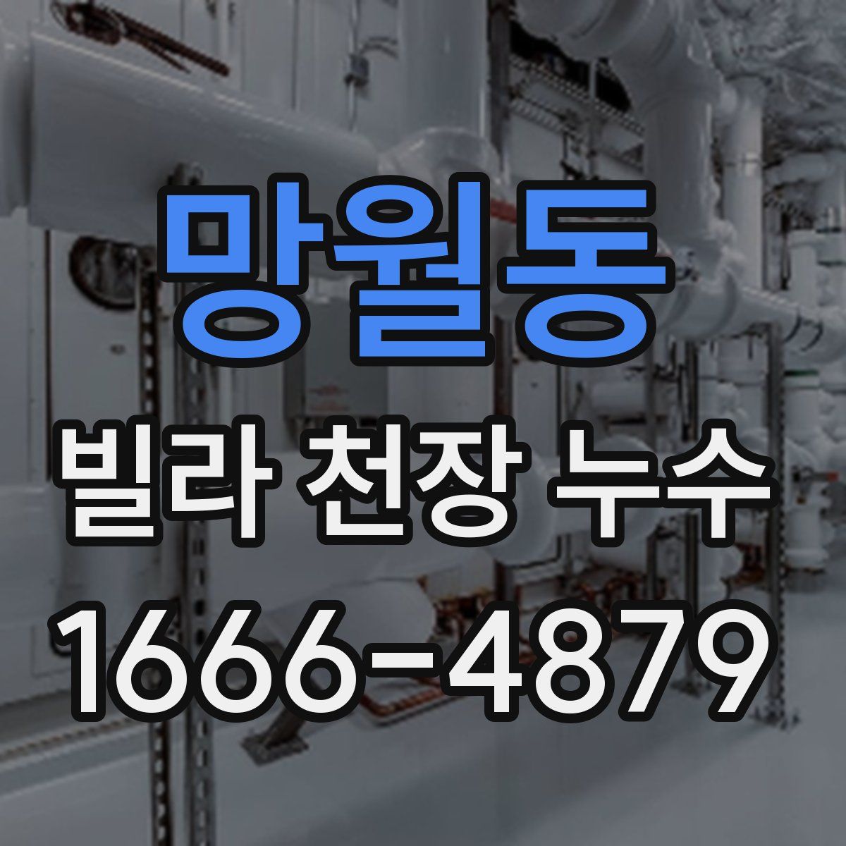 망월동 빌라 천장 누수