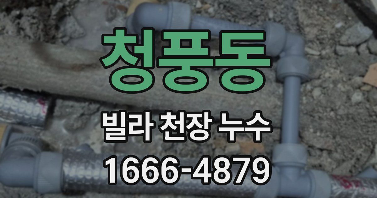 청풍동 빌라 천장 누수