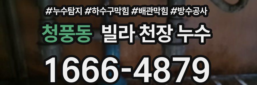 청풍동 빌라 천장 누수