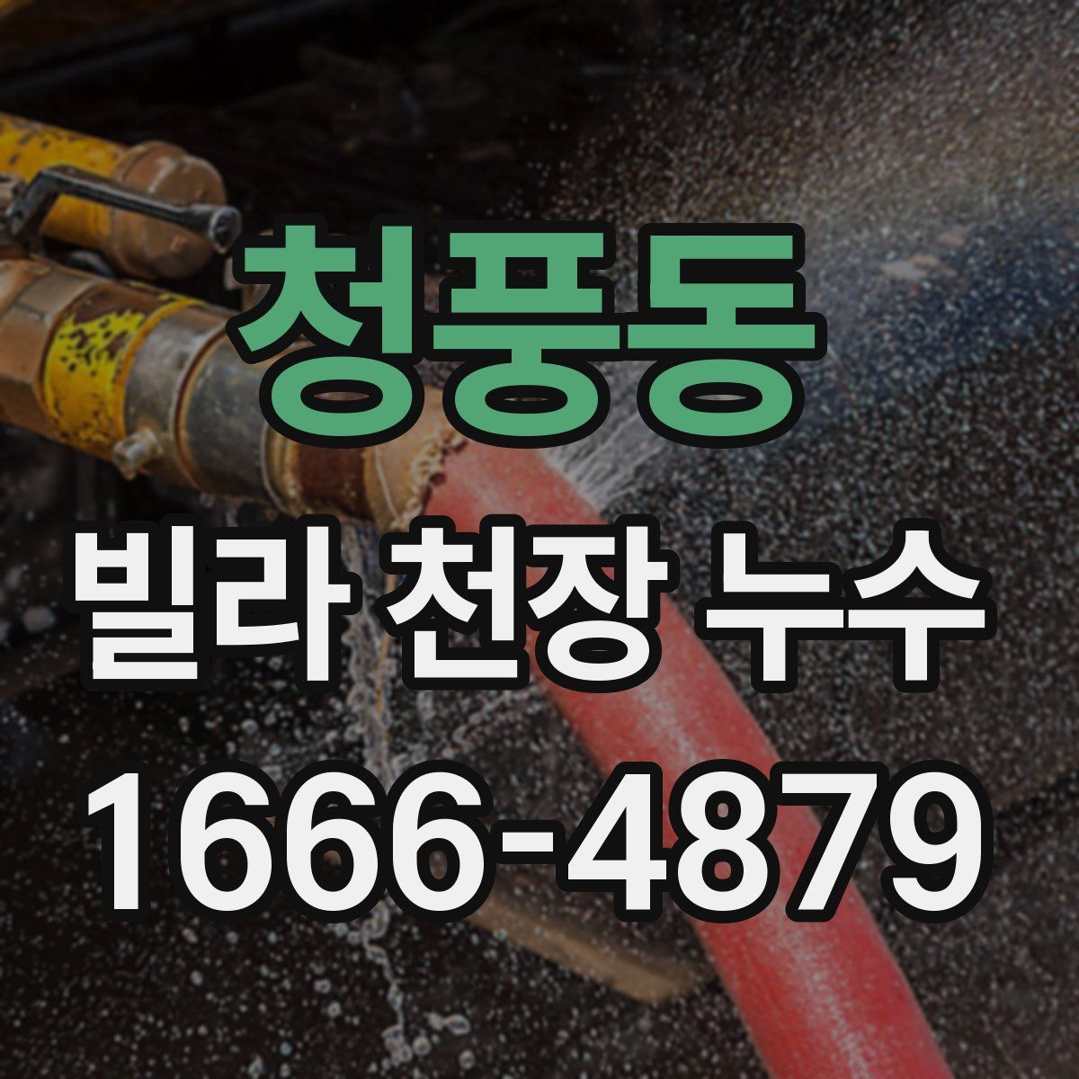청풍동 빌라 천장 누수