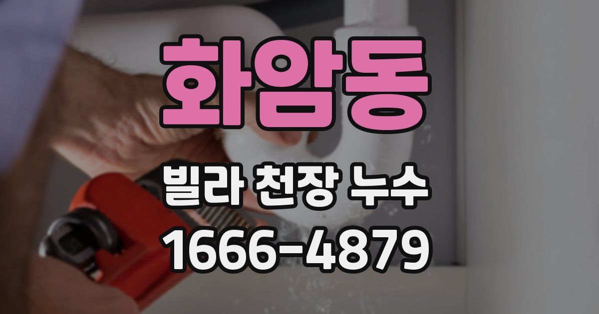 화암동 빌라 천장 누수