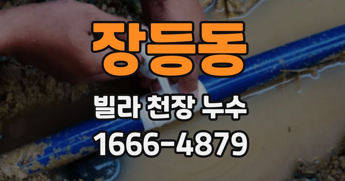 장등동 빌라 천장 누수