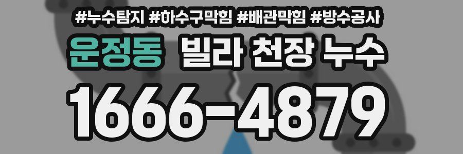 운정동 빌라 천장 누수