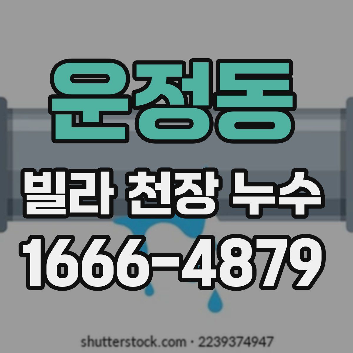 운정동 빌라 천장 누수