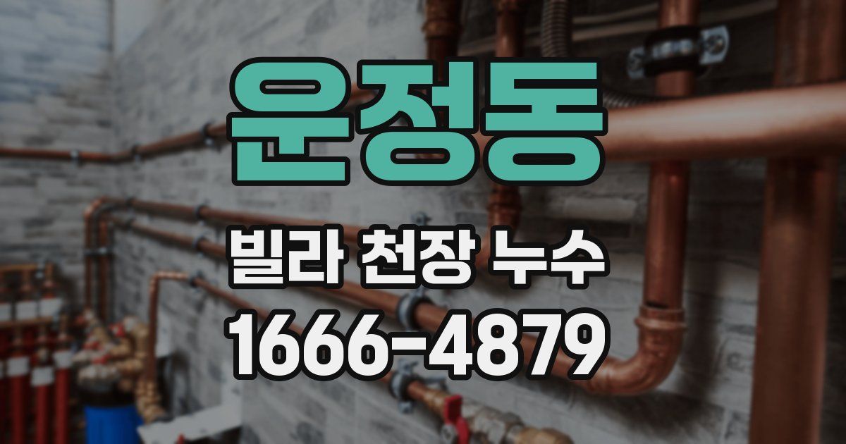 운정동 빌라 천장 누수
