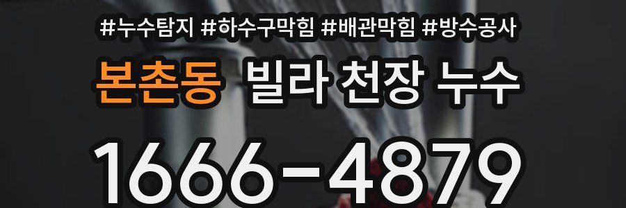 본촌동 빌라 천장 누수