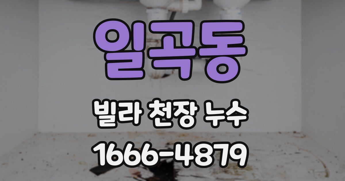 일곡동 빌라 천장 누수
