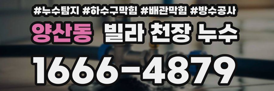 양산동 빌라 천장 누수