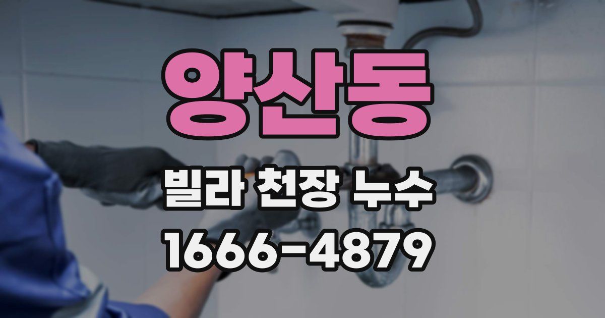 양산동 빌라 천장 누수