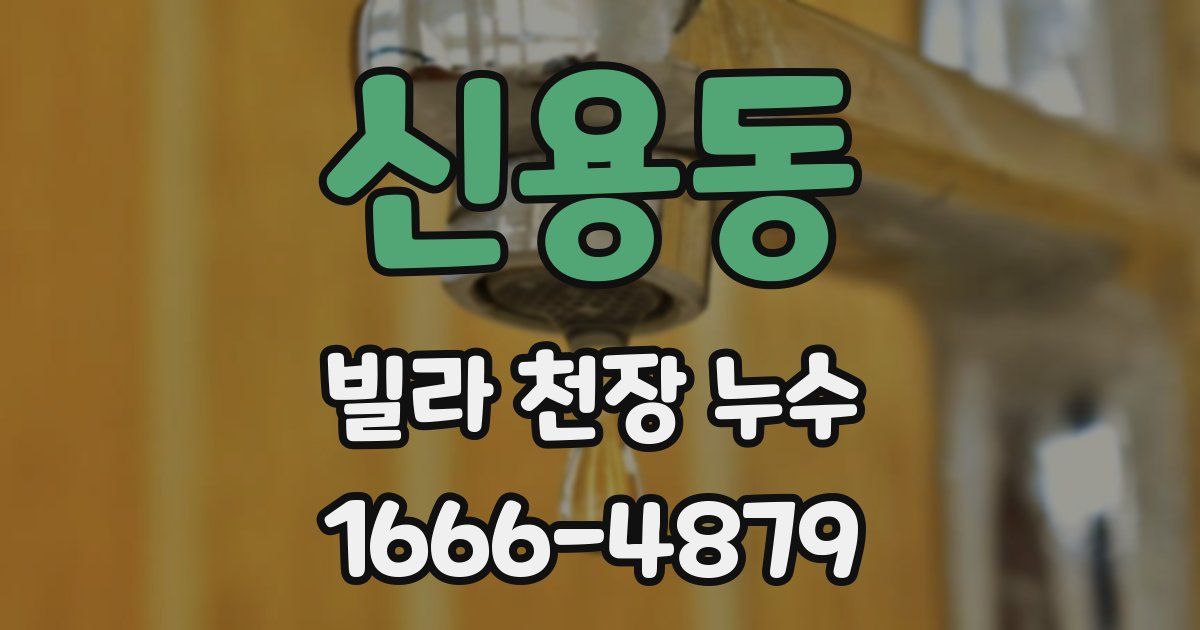 신용동 빌라 천장 누수
