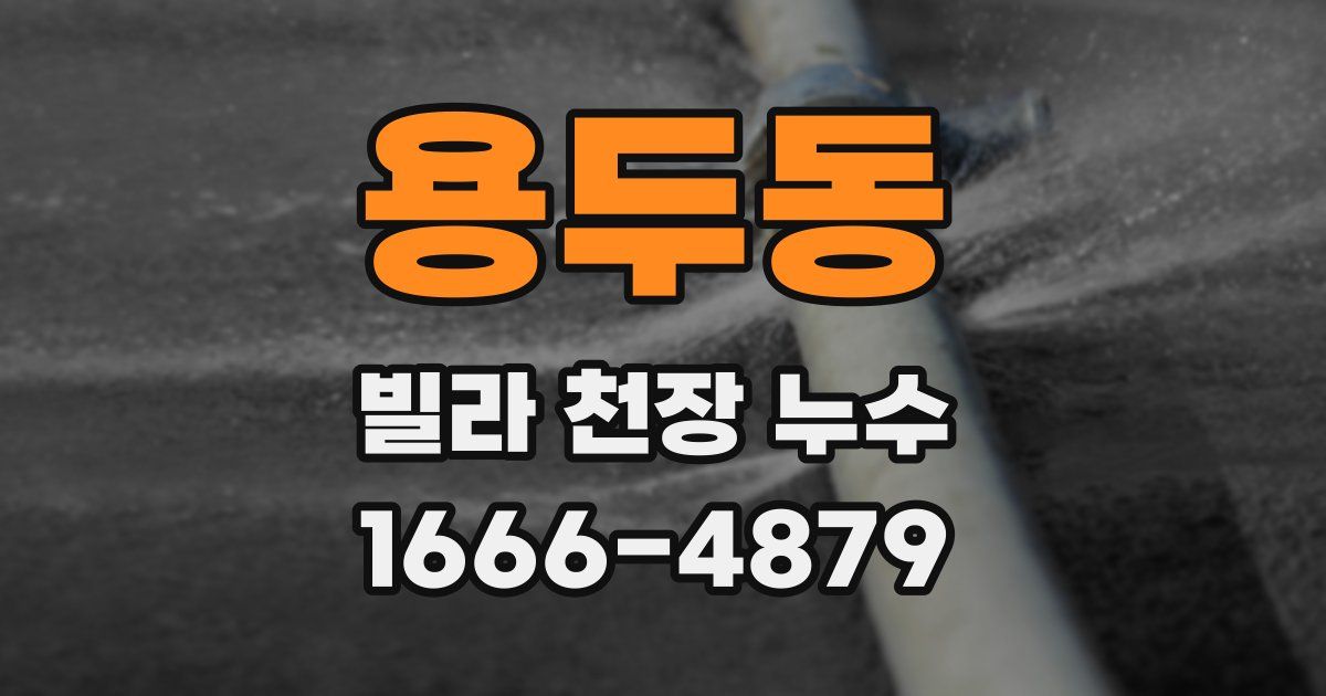 용두동 빌라 천장 누수