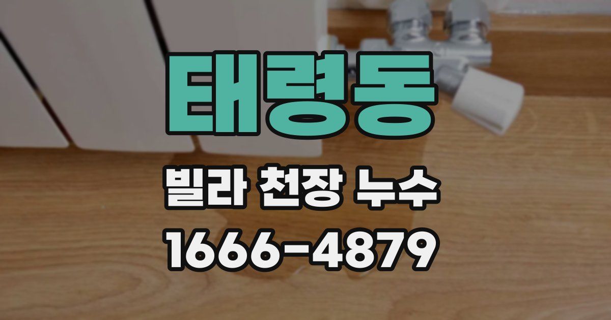 태령동 빌라 천장 누수