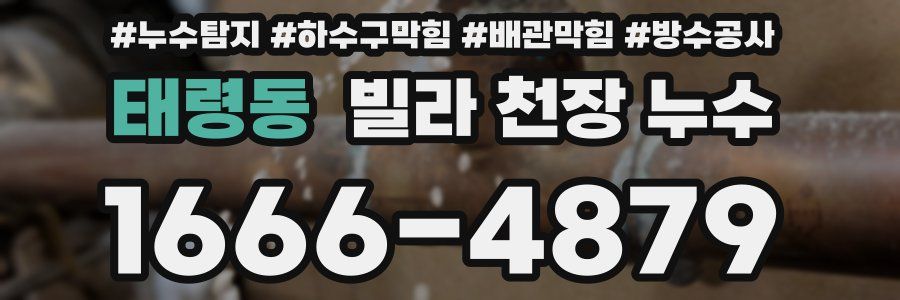 태령동 빌라 천장 누수