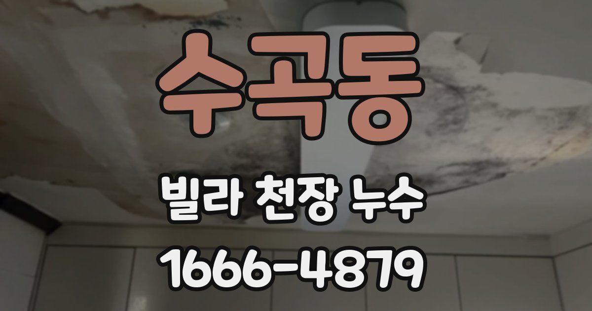 수곡동 빌라 천장 누수